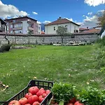 Fest Nyaraló