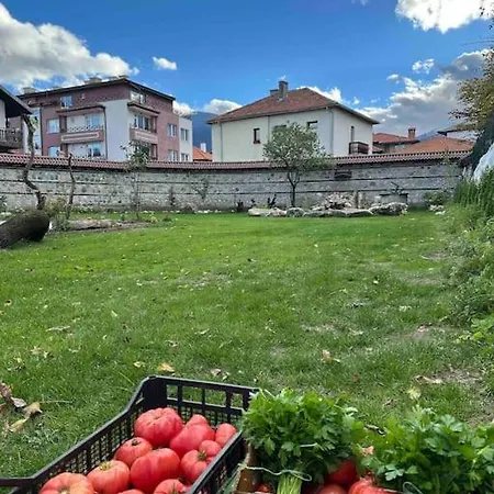 Fest Сasa de vacaciones